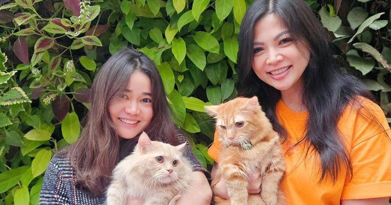 Instagram.com/iam.yoan